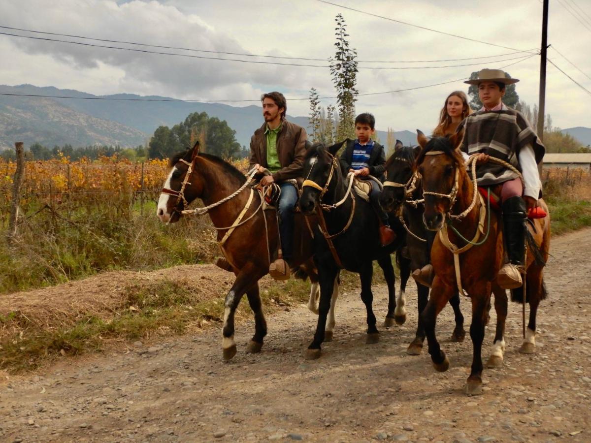 Hotel Boutique Raices De Colchagua Santa Cruz Luaran gambar